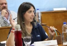 Fanny Vera marca la cancha: “No me defino como radical por ser antiperonista”