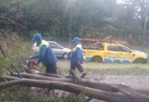 Los equipos del Municipio de Brown trabajan en barrios y localidades frente a la tormenta en el AMBA