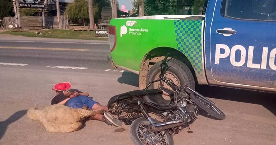 En plena cuarentena: escapaba en una moto con un cordero robado