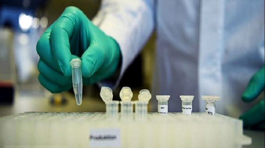 Presunción de Covid-19: falleció un miembro del equipo de salud de Lanús y del Gandulfo de Lomas, y se aguardan los resultados de la causa de su muerte