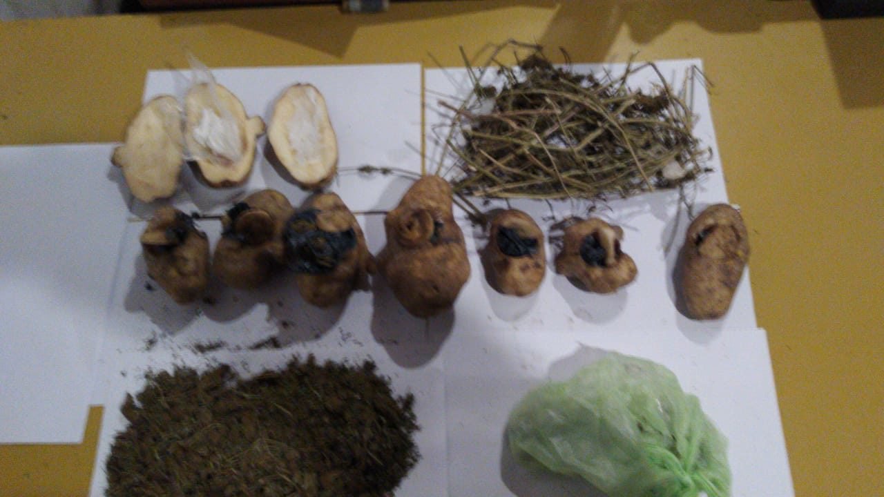 Vendía papas son sorpresas: tenían cocaína y marihuana en su interior