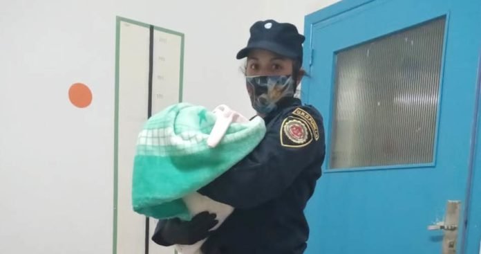 la-bebe-vendida-en-canuelas-fue-encontrada-en-villa-carlos-paz-21430
