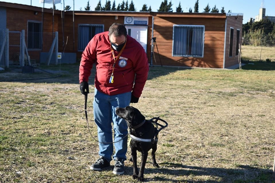 Quilmes Oeste: a través de un boquete, robaron y generaron destrozos en la Escuela de Perros Guía
