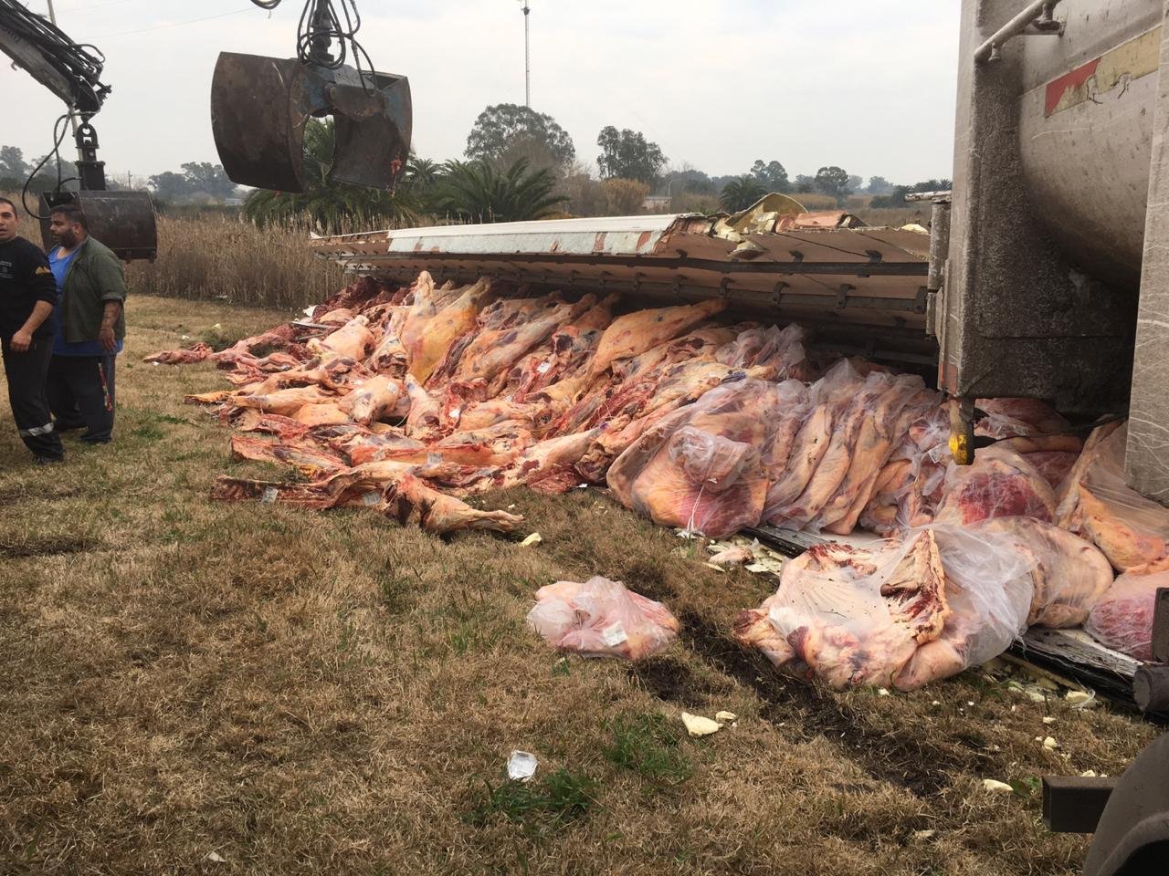 Camión térmico llamó a la grúa, pero por un error terminó tirando 17.000 kilos de carne