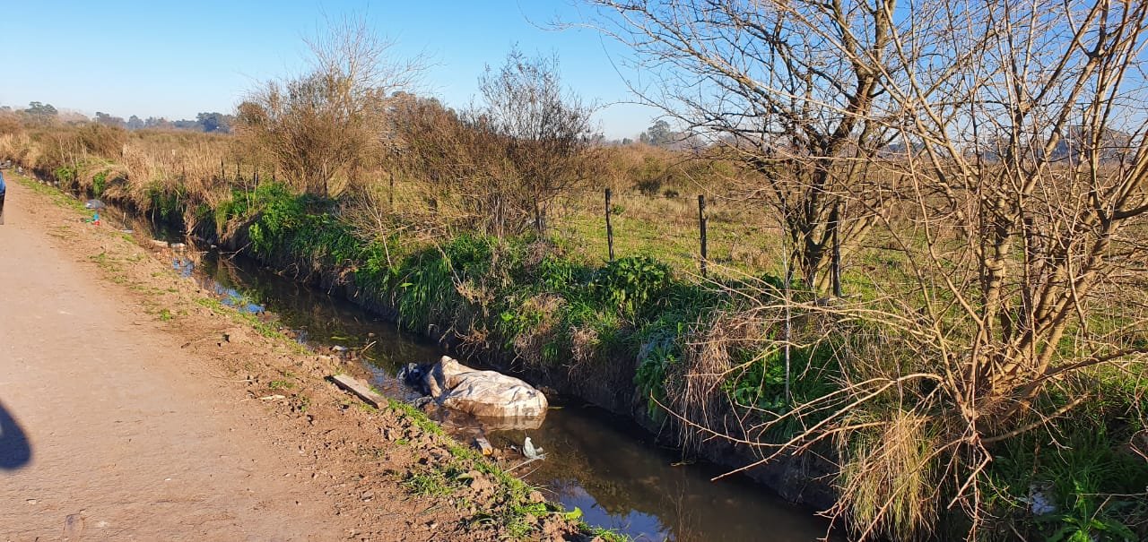 Femicidio en Guernica: hallan el cuerpo de una mujer envuelto en una bolsa de arpillera en un zanjón y buscan a su pareja