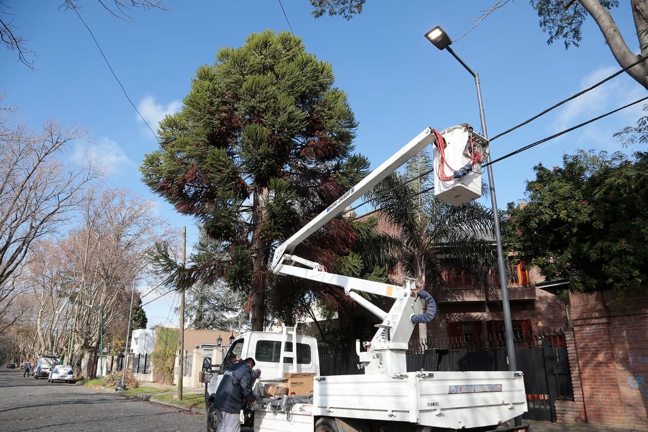 El Municipio potencia los operativos de poda de seguridad y la instalación de luces led