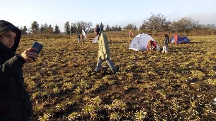 Echeverría: detenciones en torno a un intento de toma de tierras