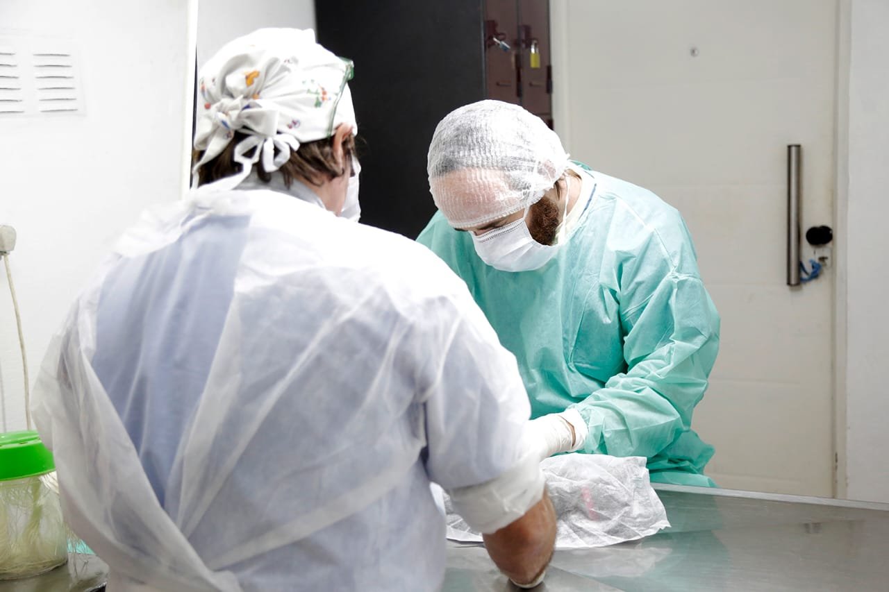 El Municipio sumó nuevos quirófanos en Zoonosis Brown