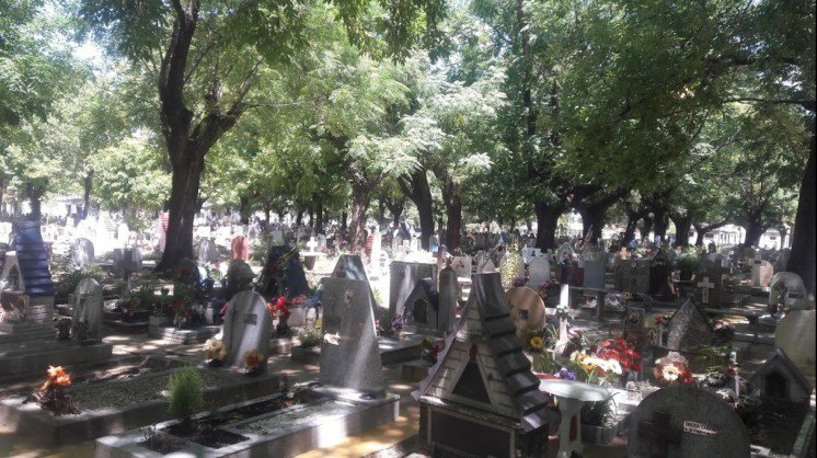 El Cementerio Municipal reabre sus puertas