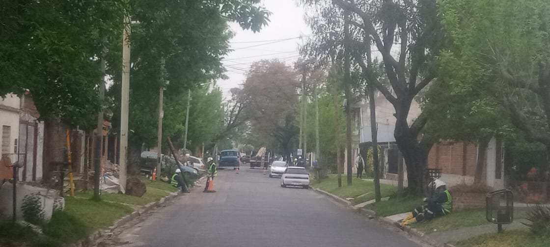Inédito: sin aviso, desde temprano Edesur cortó la luz de un barrio para que cuadrillas municipales poden los árboles