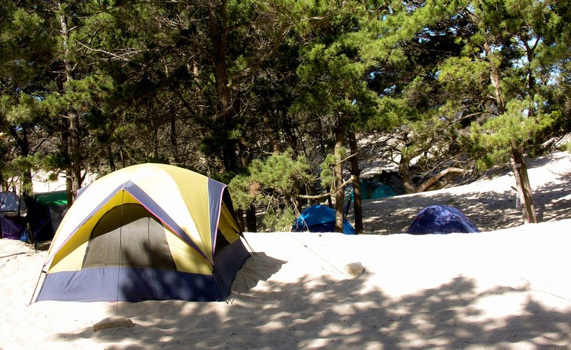 Provincia: piden que los campings puedan funcionar en la temporada bajo estrictos protocolos