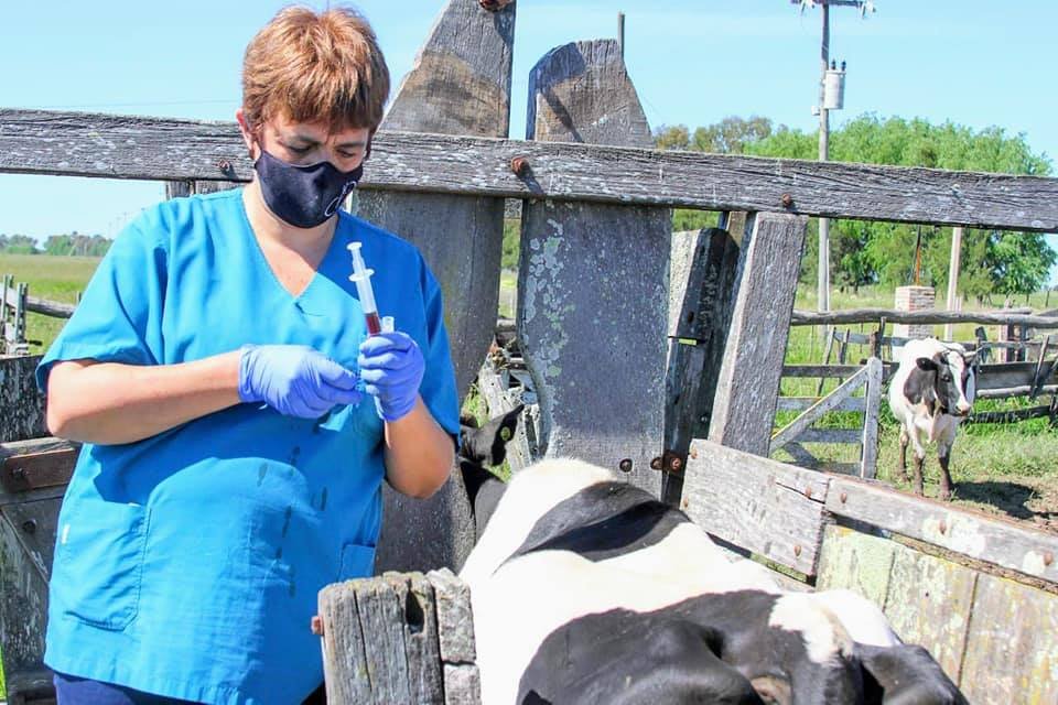 Participación del INTA San Vicente en campaña sobre brucelosis