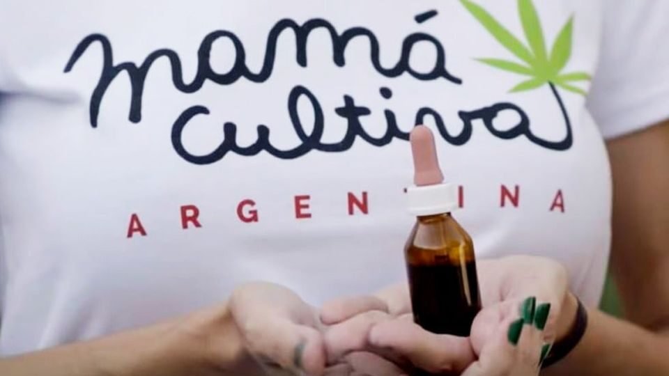 Nueva ley de cannabis medicinal: «Por delante queda el largo camino de la implementación»