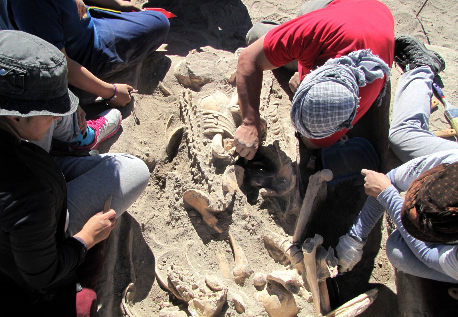Hay 600 cuerpos de víctimas de la dictadura sin identificar y piden que se acerquen familiares