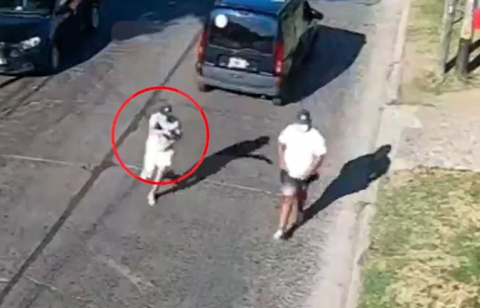 Tras intensa persecución, cae una banda dedicada al robo de vehículos en Lanús Oeste