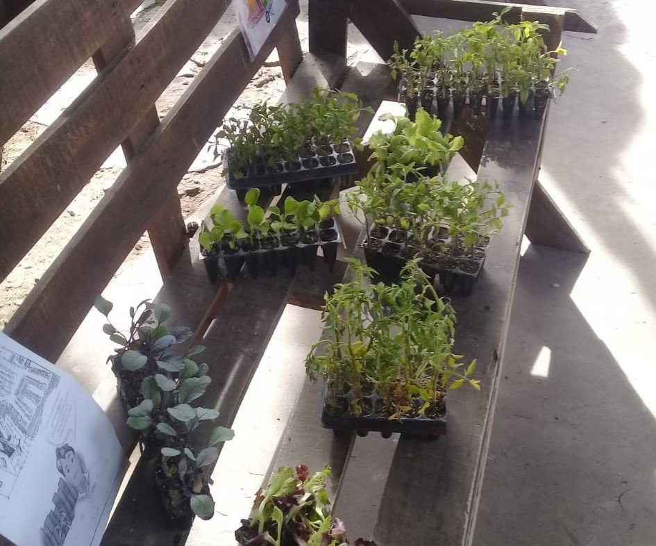 El INTA AMBA acompaña a huertas comunitarias y comedores sociales