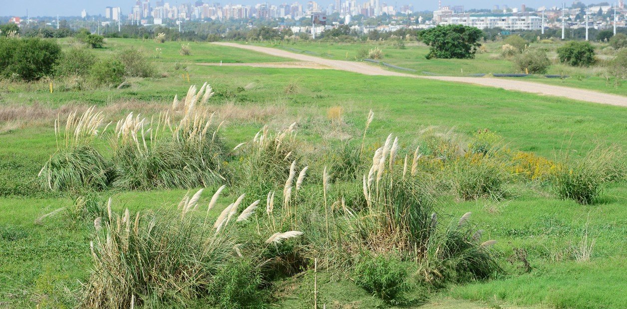 Un ex basural de Villa Domínico, rumbo a transformarse en un paseo ecológico