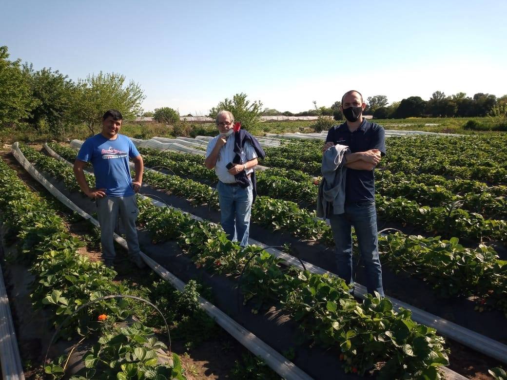 INTA AMBA: agroecología con buenos rindes y mejores proyectos