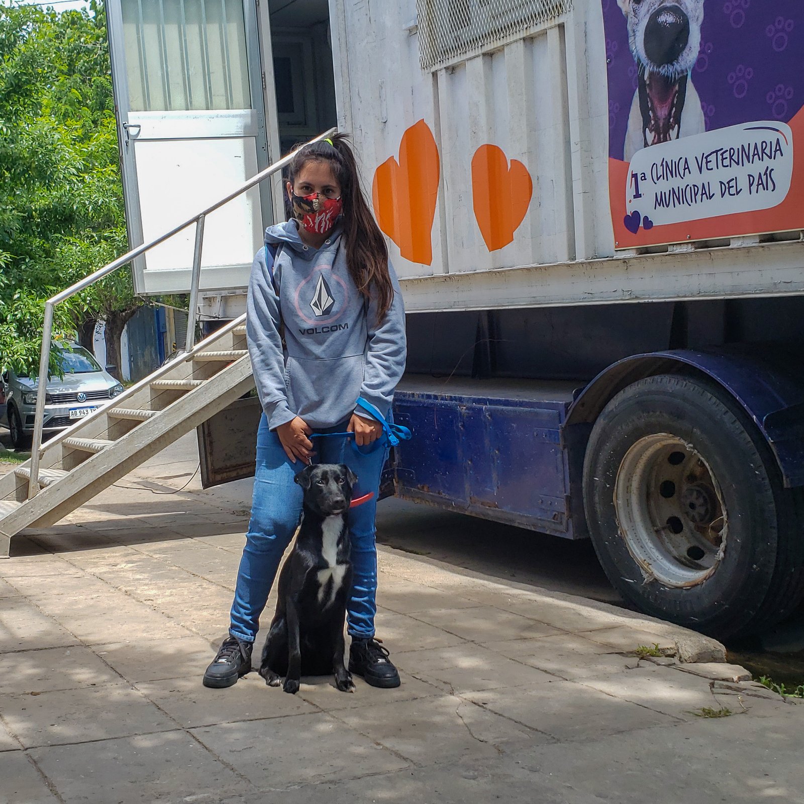 Vacunación gratuita: acercar la salud de las mascotas en los barrios