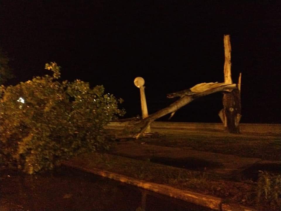 El temporal provocó caída de árboles y voladuras de techos en Chascomús