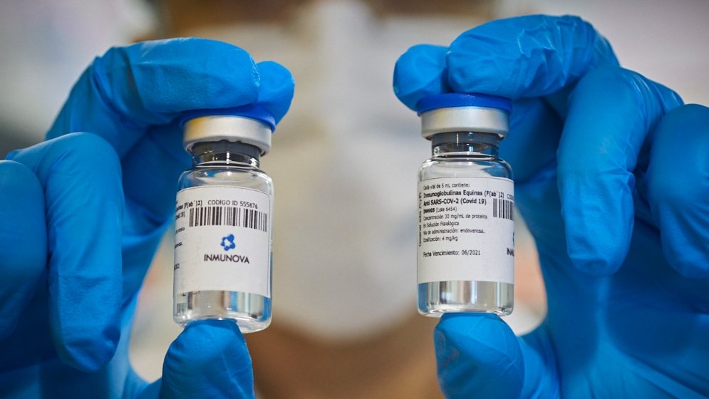 Covid-19: regulan recomendación para el uso de plasma convaleciente y suero equino como tratamiento