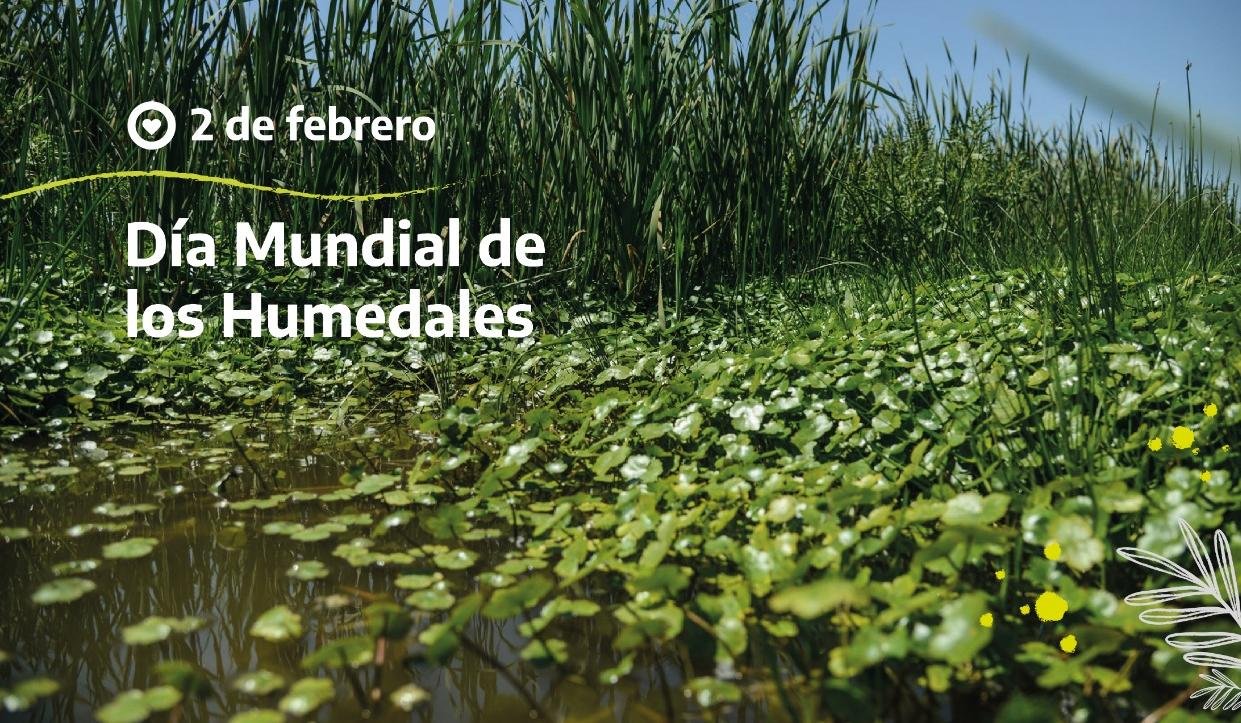 Día Mundial de los Humedales: ACUMAR trabaja para garantizar la conservación de estos reservorios