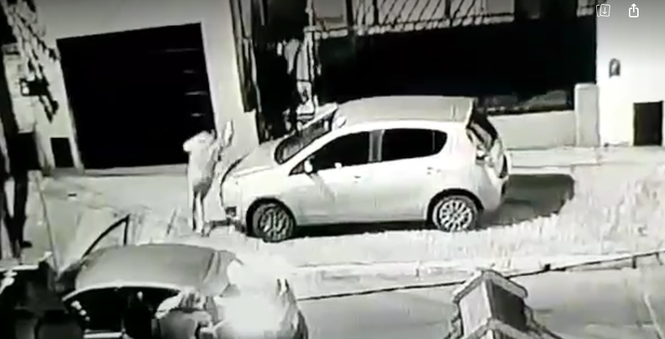 Entradera y robo: delincuentes armados sorprendieron a una familia en Quilmes y les gatillaron en la cabeza