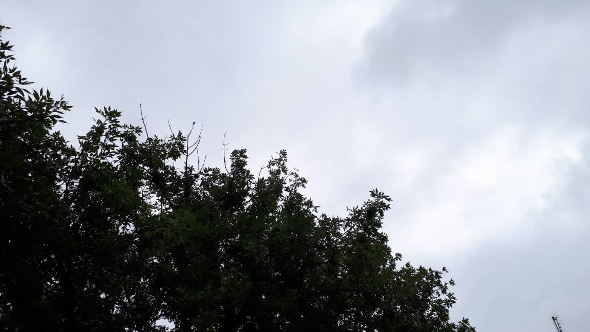 Otra jornada con lluvias y clima cálido