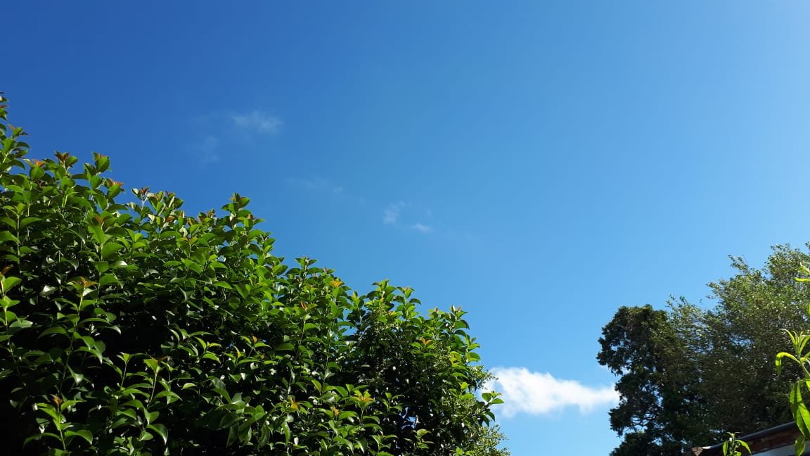 Tras una semana de lluvias llega el buen tiempo