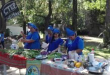 Avellaneda Y San Martín: proyectos acompañados por el INTA AMBA sobre género y jóvenes obtienen reconocimiento