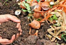 ¿Sabías que el INTA AMBA, junto al Programa Prohuerta, enseña a elaborar compost que es muy importante para el desarrollo de la huerta?
