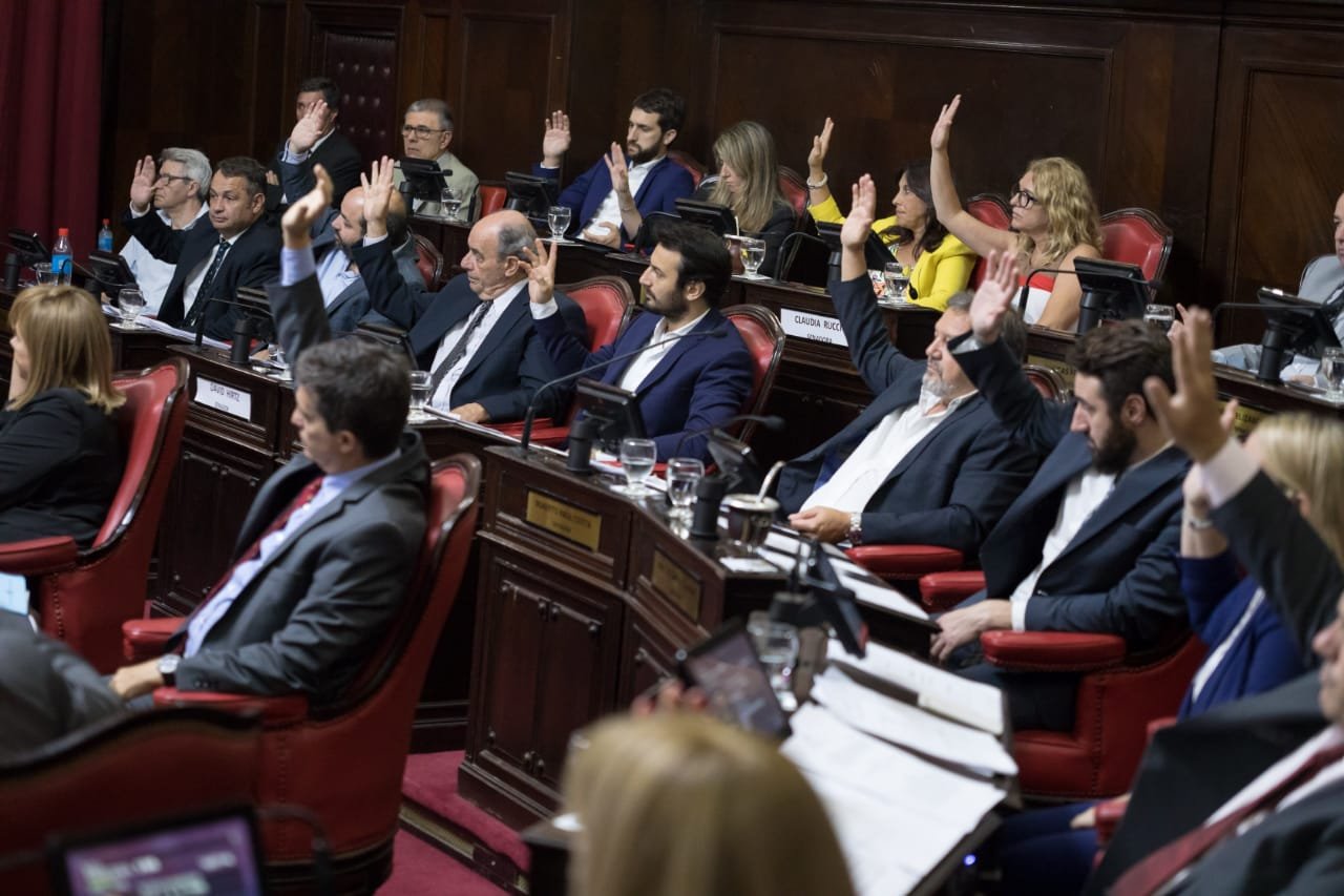 Dura crítica por parte de senadores de Juntos por el Cambio: “La Seguridad no es parte de la agenda kirchnerista”