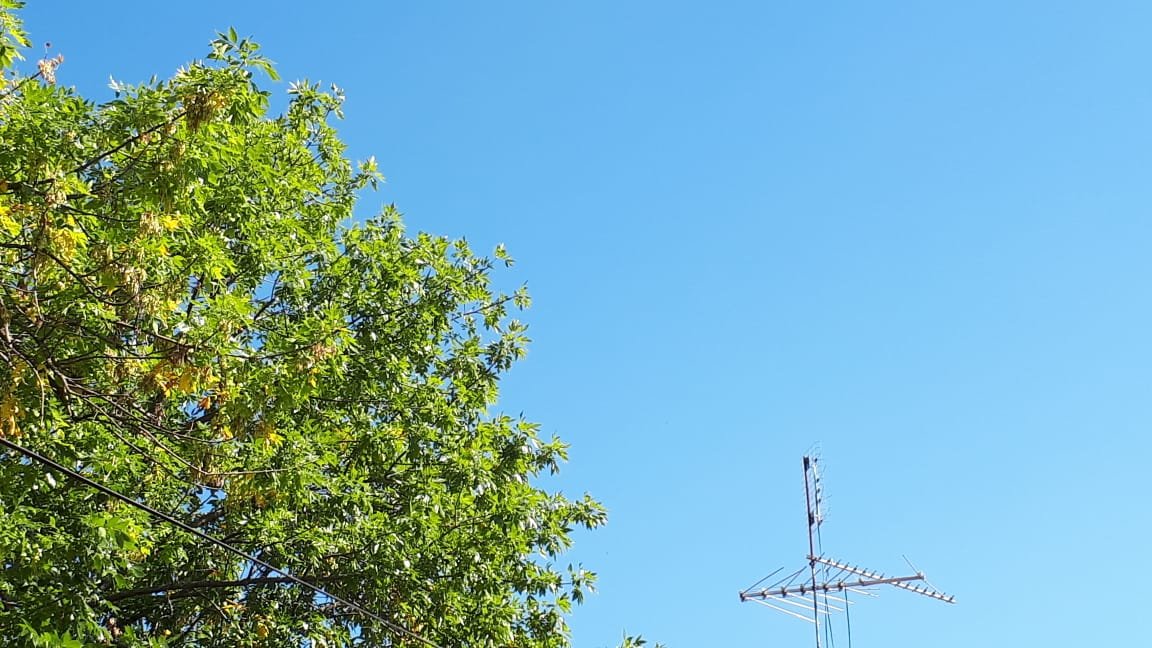 Lunes algo nublado, con una máxima de 29 grados