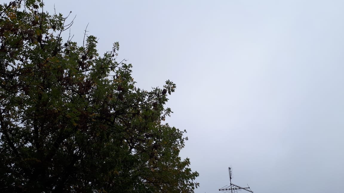 Clima: lunes nublado con una máxima de 23 grados