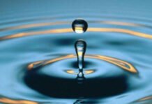 ¿Sabías que el INTA AMBA acompaña tecnologías para almacenar agua de lluvia para riego?