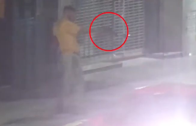 Seguridad: Lanús presentó un proyecto de ley para incorporar la figura de réplica de arma de fuego al Código Penal