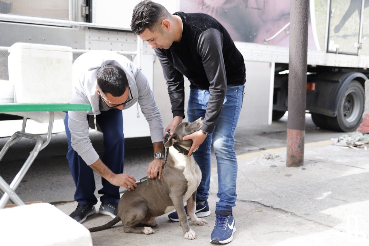 Lanús: más de 5200 mascotas vacunadas en los operativos integrales de salud