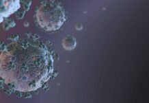 Inmunidad, contagio, variantes: diez preguntas sobre las vacunas contra el coronavirus