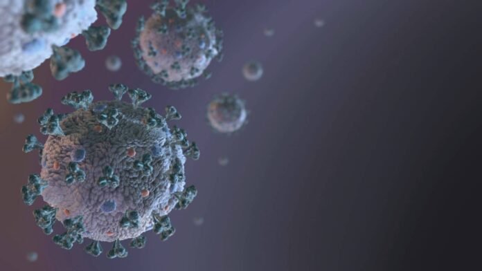 corona-virus-scaled-e1590598117909