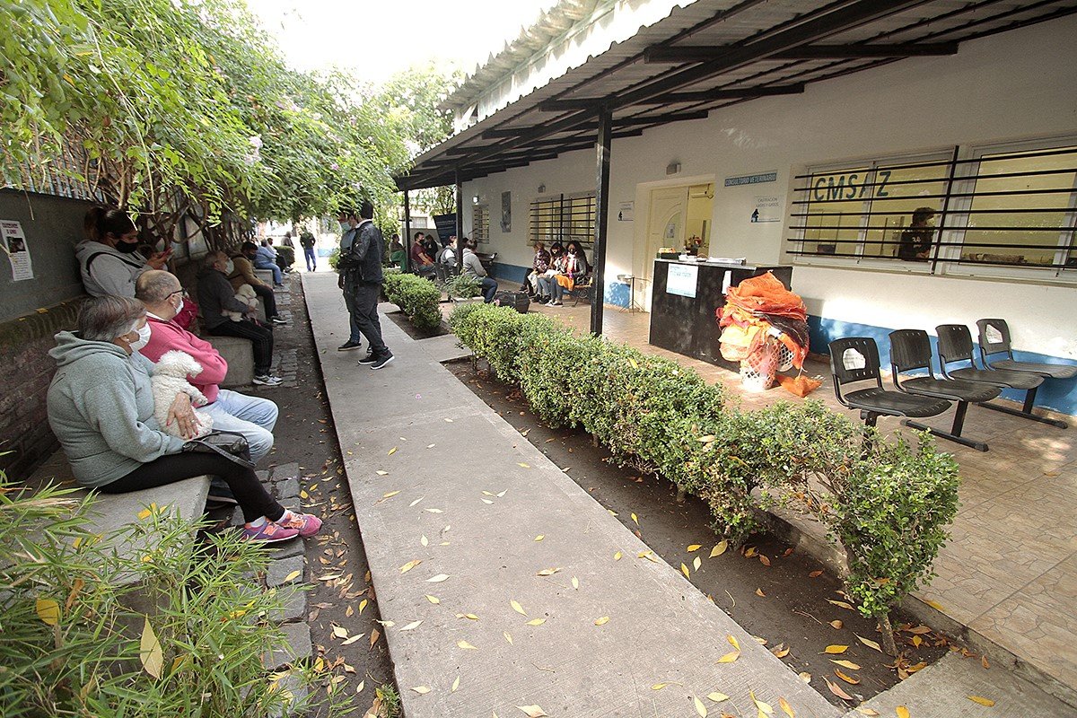 En el Día del Animal, Zoonosis Brown sigue creciendo y suma servicios