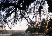 Abordan la relación entre los datos climáticos y la percepción social