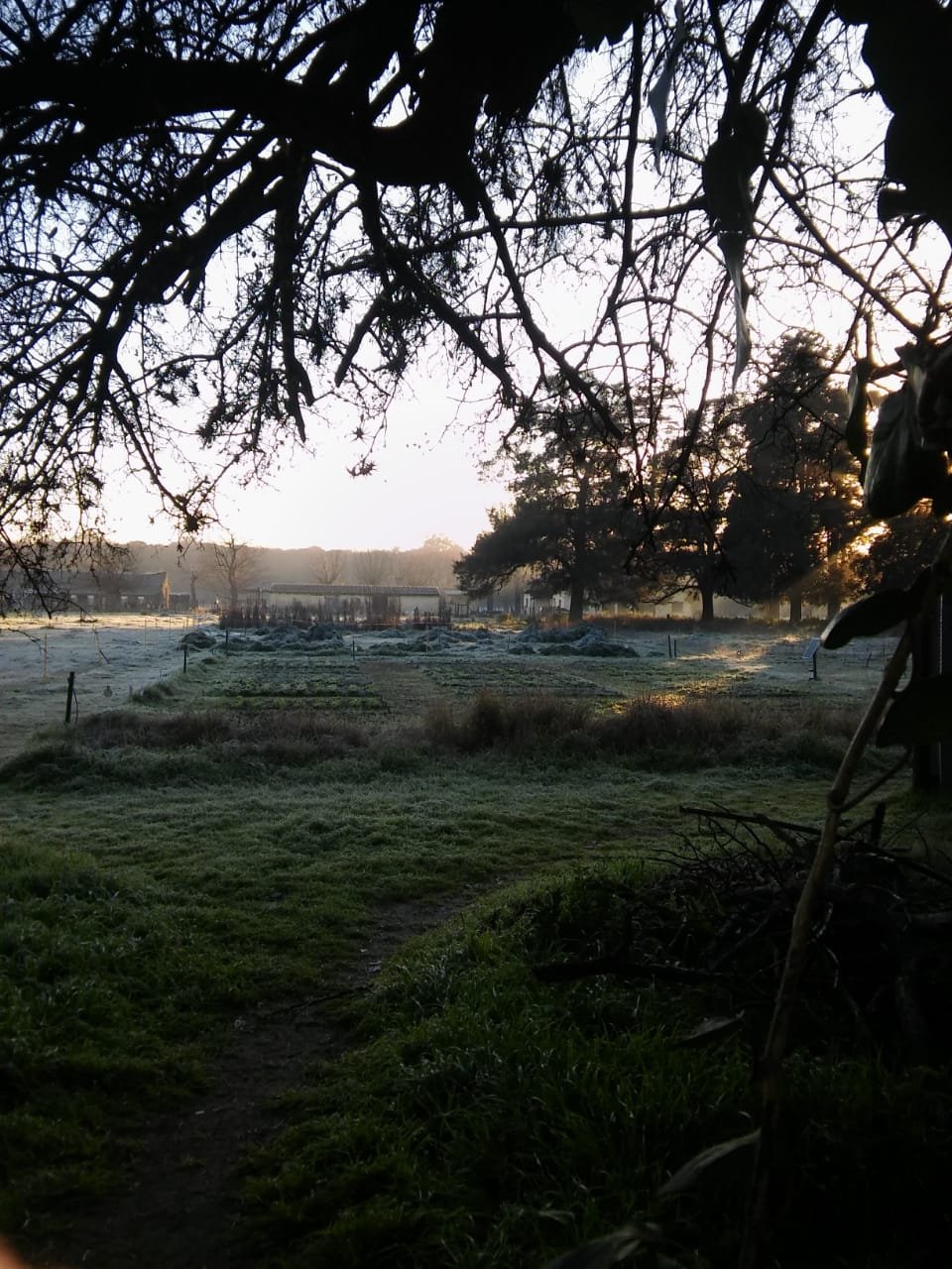 Abordan la relación entre los datos climáticos y la percepción social