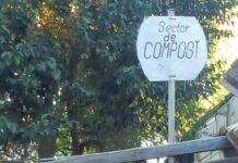 17 de mayo, Día Mundial del Reciclaje