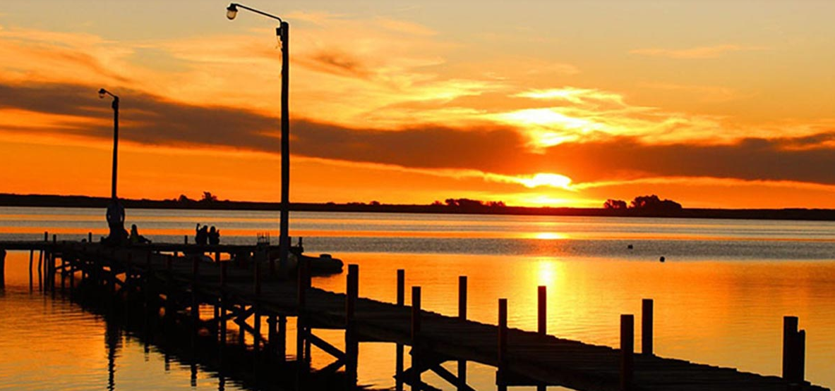 Lluvia de agrótoxicos en Lobos: pesticidas en pozos de agua, plazas y escuelas