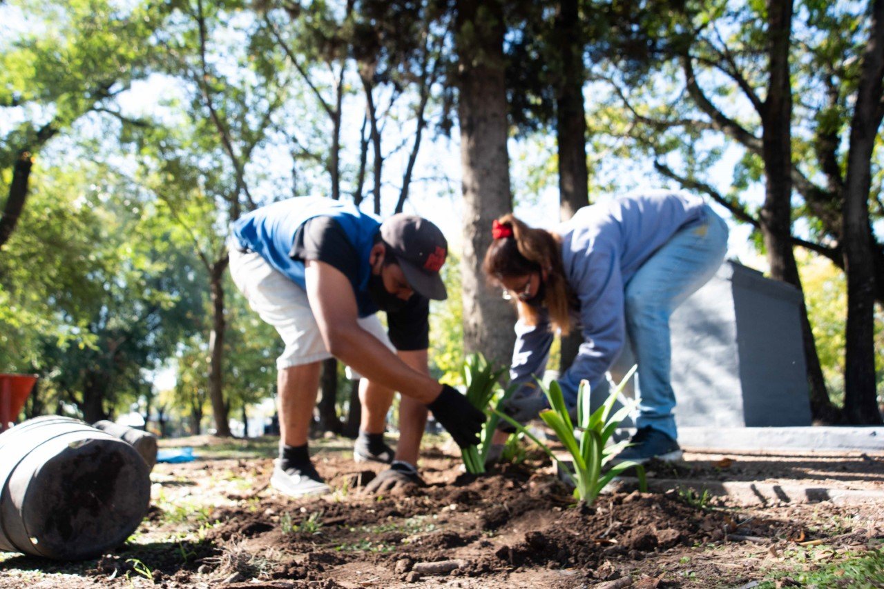 El Municipio de Brown avanza con la plantación de miles de árboles