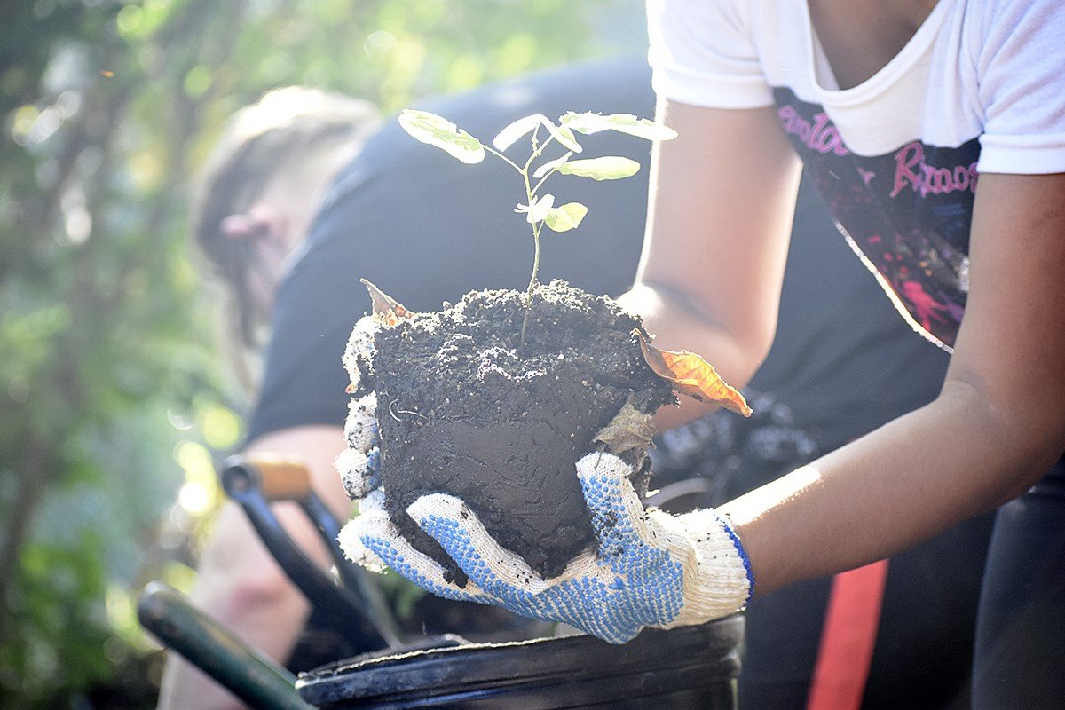 La Granja Educativa Municipal de Brown potencia la producción de verduras y hortaliza con fines solidarios