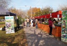 Se prepara la Feria Soberana en Guernica