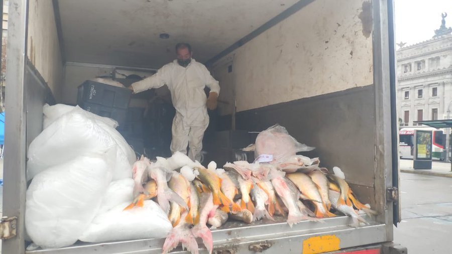 Realizan el primer «pescadazo» frente al Congreso: directo del productor al consumidor