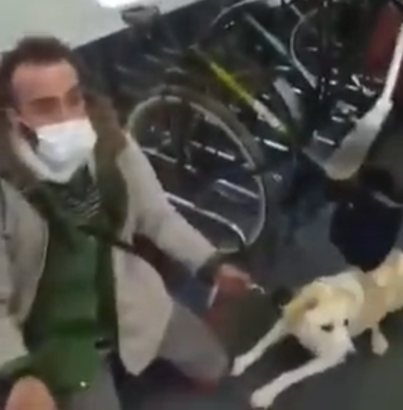 Tren Mitre: lo bajaron de la formación porque iba con su perro