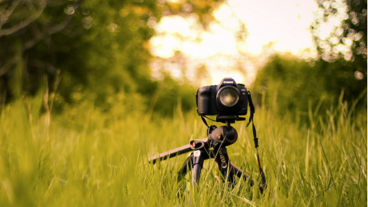 El Municipio de Brown lanzó un concurso de fotografía ambiental